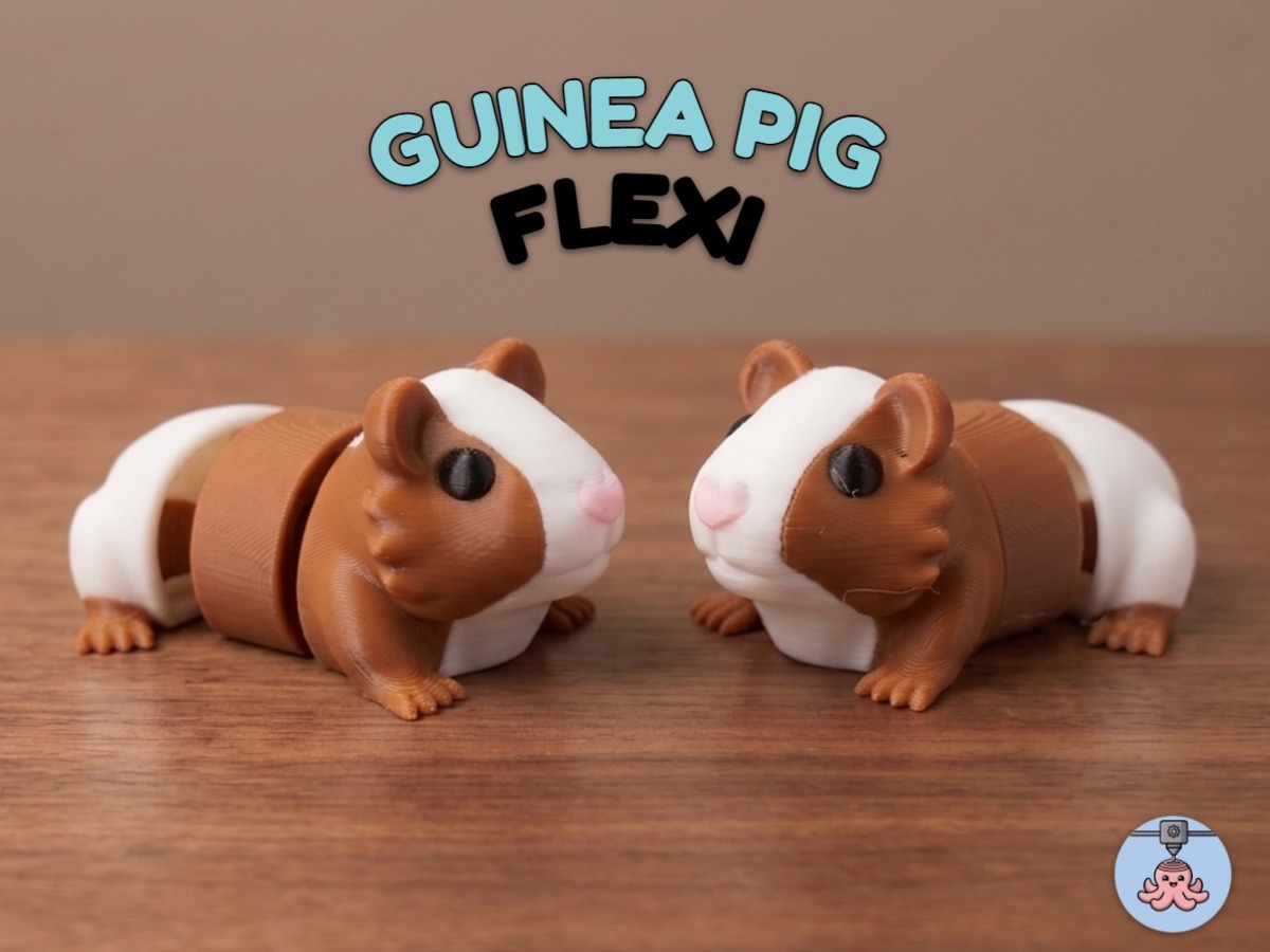 Cochon d'Inde Flexi | Animal Articulé 🐹